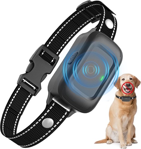 Collier anti aboiement chien - collier,