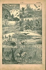 Document planche ancienne chasse issue du livre 1946