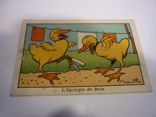 IMAGE ancienne / CANARD à la