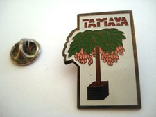 PINS TAMAYA FLEUR PLANTE BAMBOU MEXIQUE 