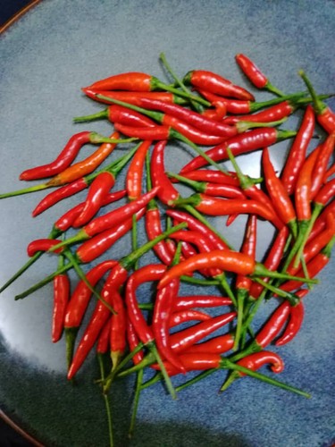 Pili très fort - très,