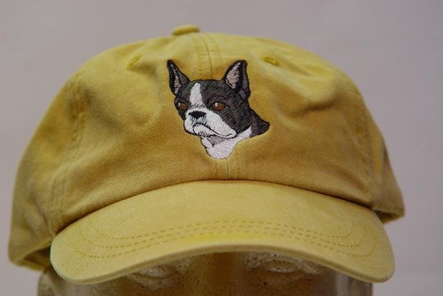 Boston terrier dog hat women - terrier,