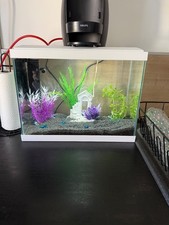 Aquarium complet 20 Jardiland utilisé 2 jours avec preuve d’achat