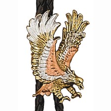 Bolotie (cravate usa) aigle