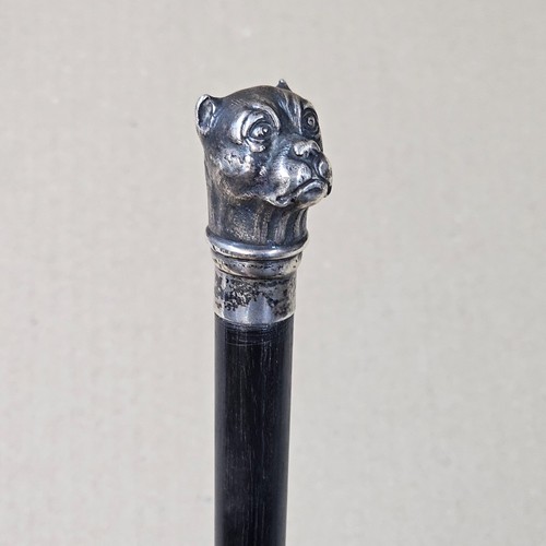Canne ancienne collection - de,