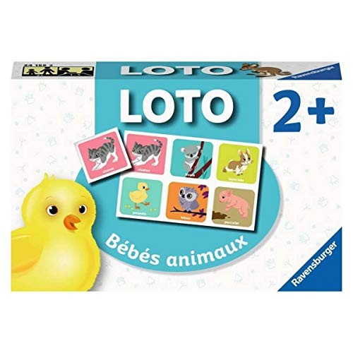 Ravensburger jeu educatif - -,