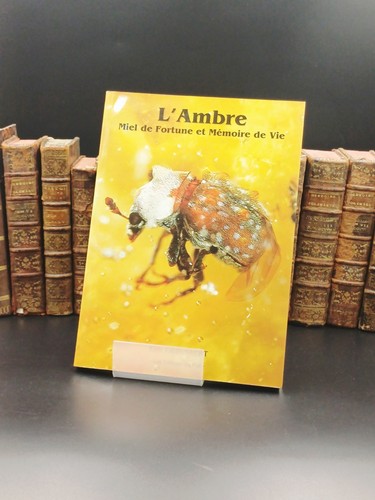 Ambre miel de fortune - miel,