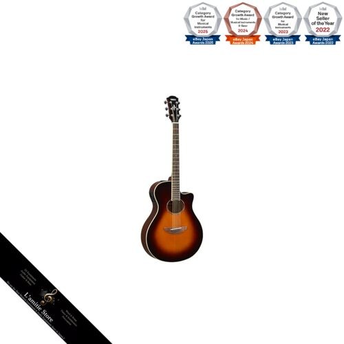 Guitare acoustique électrique - guitare, acoustique-électrique