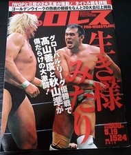 Weekly Pro Wrestling 2010