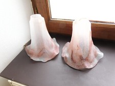 paire de tulipes en pate de