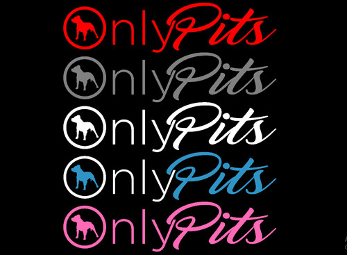 Pit bull sticker decal - bull,