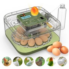 Couveuse œuf automatique PREMIUM pour poussin de poule, caille, oie, canard, vol