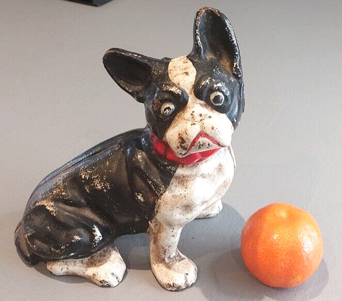 Ancien bouledogue francais - bouledogue,