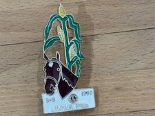 a BIG PINS PIN CHEVAL HORSE LIONS CLUB LOWDEN IOWA