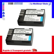 2x Batterie D-Li90 DLi90 pour