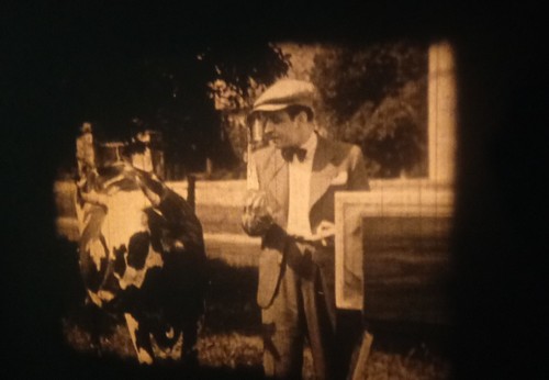 Film la peinture - 9,5,
