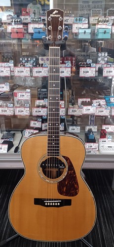 Guitare acoustique électrique