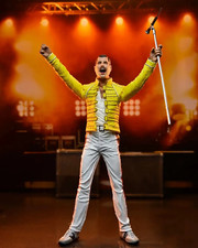 🌈  Figurine NECA Freddie