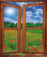 Stickers fenêtre trompe