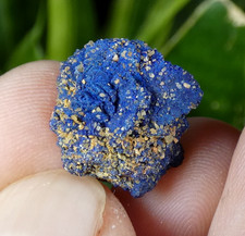 Cristaux Azurite Chessylite intense Chessy les Mines 1.5cm France collection