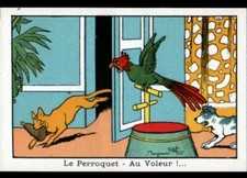 VILLEFRANCHE (69) IMAGE ancienne BLEDINE / CHAT PERROQUET CHIEN, Benjamin RABIER