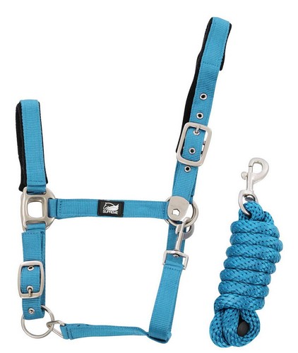 Licol nylon avec - en, en
