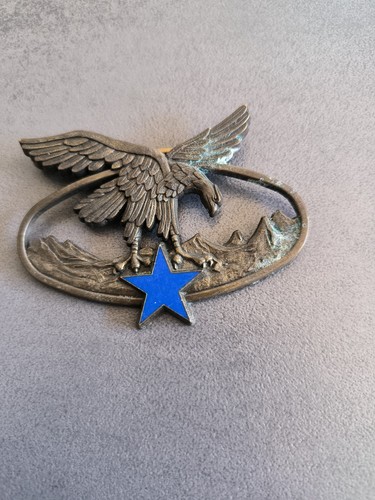 Delsart sens insigne - delsart,