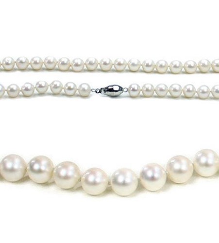 Large akoya pearl - large,