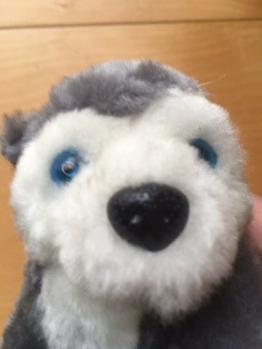 Peluche chien gris - et, blanc