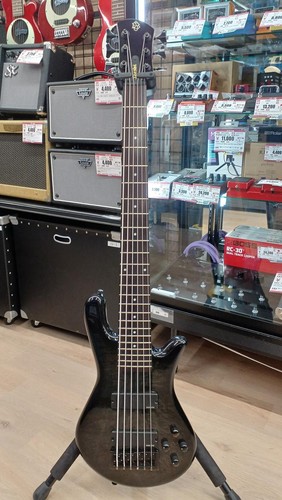 Guitare basse électrique