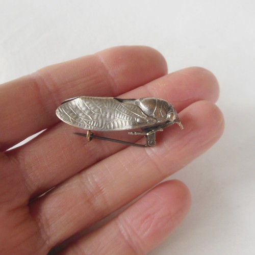 Ancienne broche cigale argente - broche,