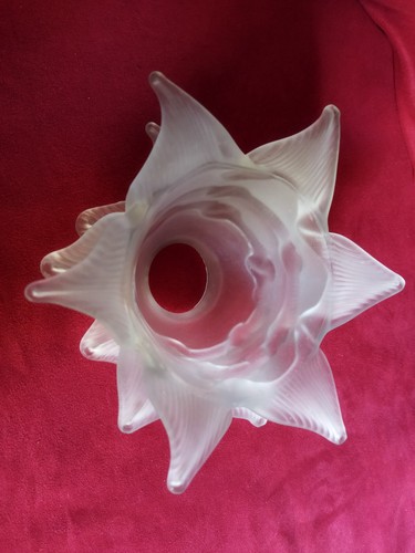 Grande tulipe forme - , pour