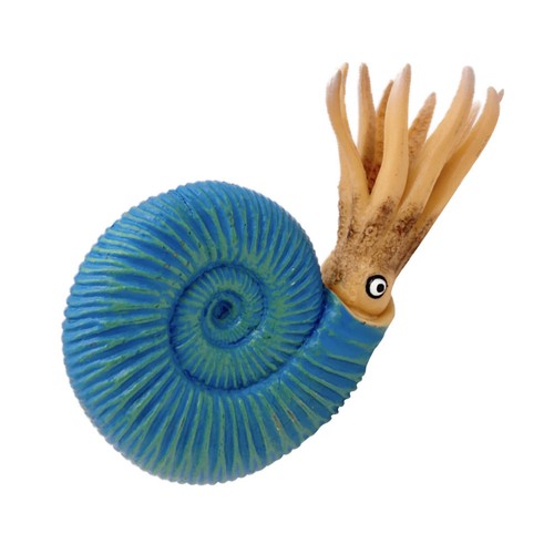 Modèle créature nautilus - modèle, de
