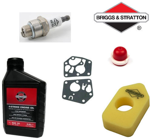 Véritable briggs stratton - &,