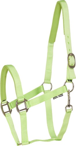 Licol horse guard nylon - horse,