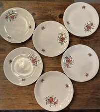 6Assiettes plates  en