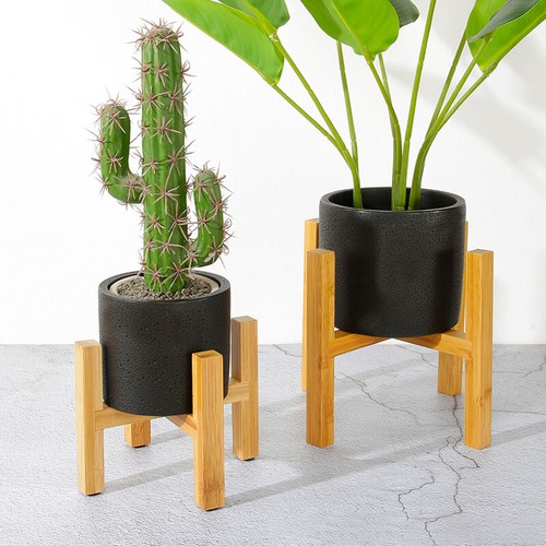 Bois plantes support - plantes, fleur