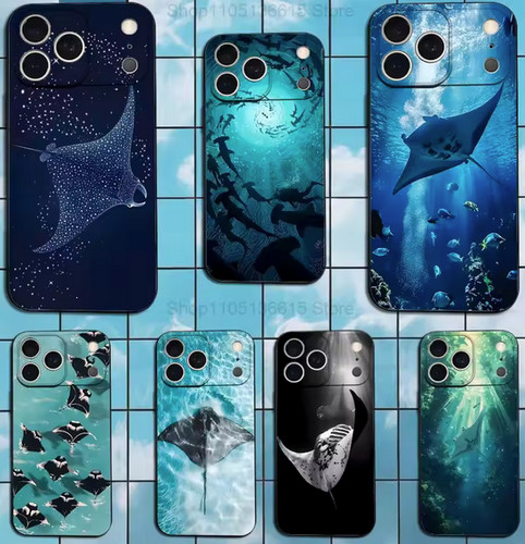 Manta ray ocean - manta,