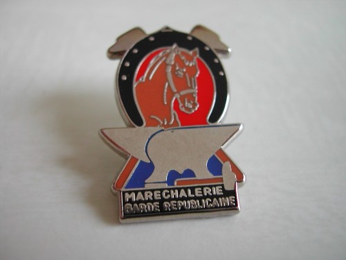 Pin gendarmerie - pin's,