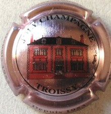 Capsule de champagne JOLY (8