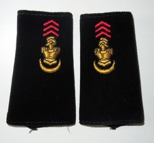 PAIRE DE FOURREAUX D'EPAULES