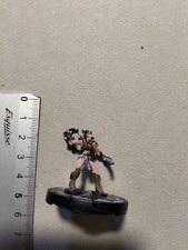 Nr 017 AMAZON SCOUT