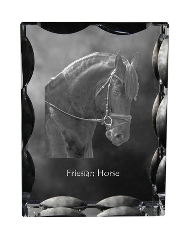 Cheval frison cadre - , en