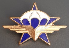 Insigne 1° RCP en AFN