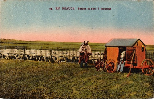 Cpa beauce berger parc a - en, et