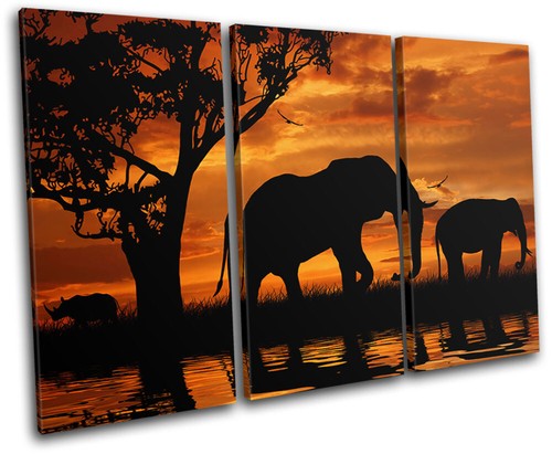 Elephant african sunset - elephant,