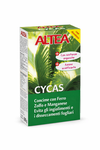 Altea cycas fumier - altea,