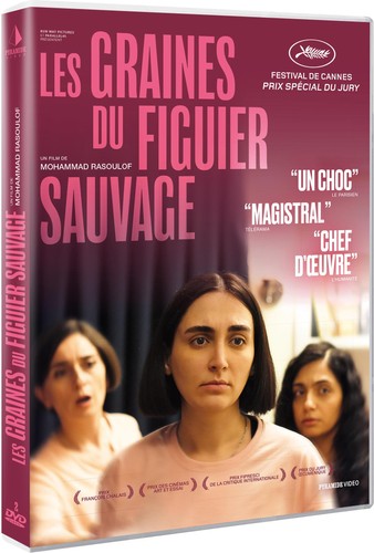 Graines figuier sauvage - figuier,
