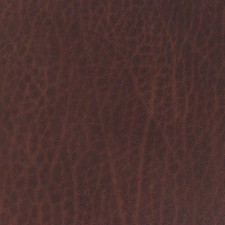 Morceau de cuir de collet