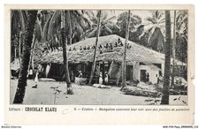 AXXP10-1036-SRI-LANKA - CEYLAN - Bungalow couvrant leur toit avec des feuilles